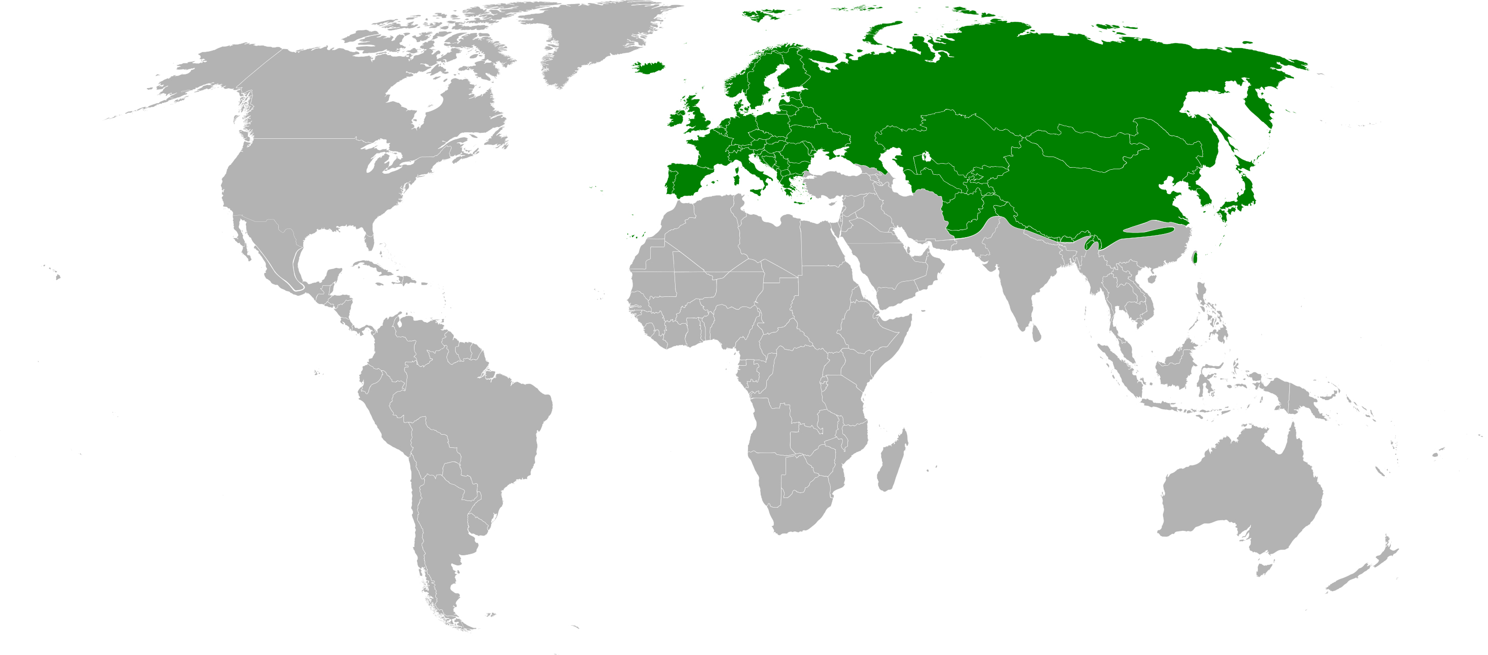 World distribution of Hedychridium rossicum