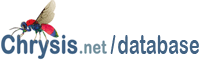 Chrysis.net Database of Chrysididae