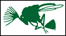 Insect Collecting Guide