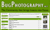 Bug Photography