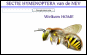 Nederlandse Entomologische Vereniging
