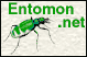 Entomon.net