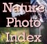 Nature Photo Index