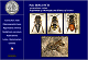 Cleptoparasitic bees and Sceliphron curvatum