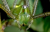 Steve Hoffmann's Nature and Scenic Photography