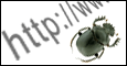 Links on Entomology