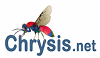 Chrysis.net - Your web resource on Hymenoptera Chrysididae and Macrophotography