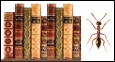 Literature on Methocha