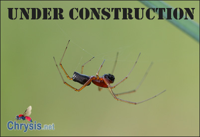UNDER CONSTRUCTION