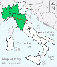 Italian distribution of Hedychridium elegantulum