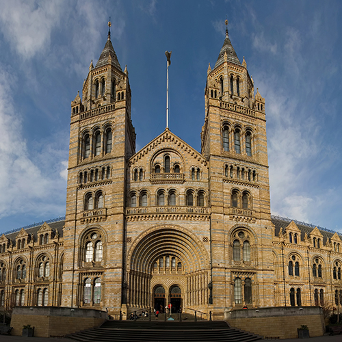 Natural History Museum London