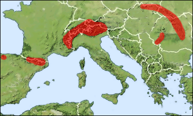 Chorology of Philoctetes helveticus