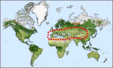 Chorology of Hedychrum longicolle