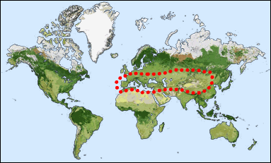 Chorology: Centralasiatic-European