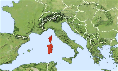 Chorology of Chrysis corsica