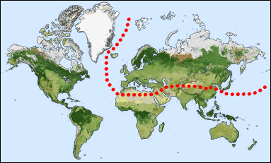 Chorology of Chrysura radians