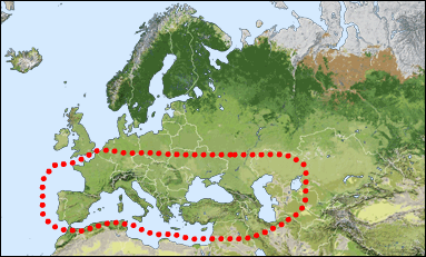 Chorology of Pseudochrysis incrassata