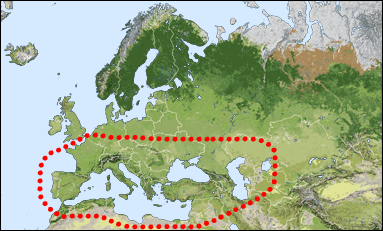 Chorology of Pseudochrysis uniformis