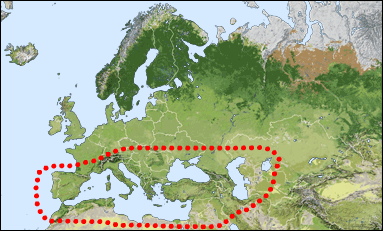 Chorology of Chrysis germari