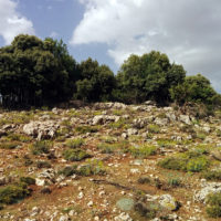 Dopo il Palazzo Reale di Ifrane