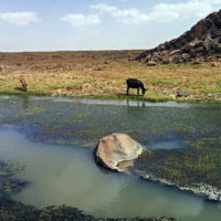 Il fiume all'uscita dalla gola