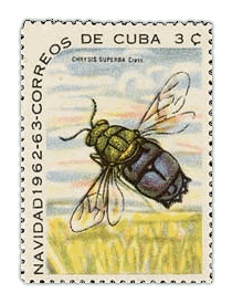 Cuba, Navidad 1962-1963