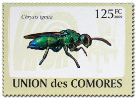 Union des Comores, 2009