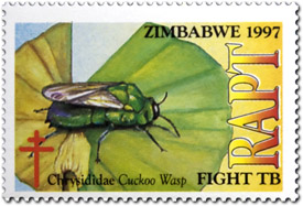 Zimbabwe, 1997: RAPT, Bees and Wasps of Southern Africa