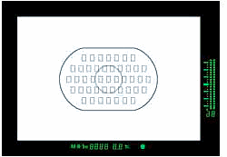 The EOS-1V's 45-point Area AF