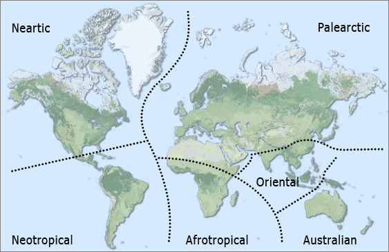 Zoogeographic Regions