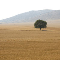 On the road to Pamukkale