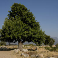 Xanthos, Lycia