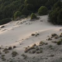 Dune di Kalogria