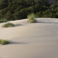 Dune di Kalogria