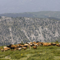 Vista dal monte Ossa (~1600m)