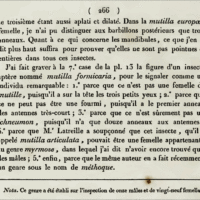 “Mutilla formicaria” by Jurine L., 1807 – Nouvelle méthode de classer les hyménoptères et les diptères. Avec figures. J.J. Paschoud, Genève.