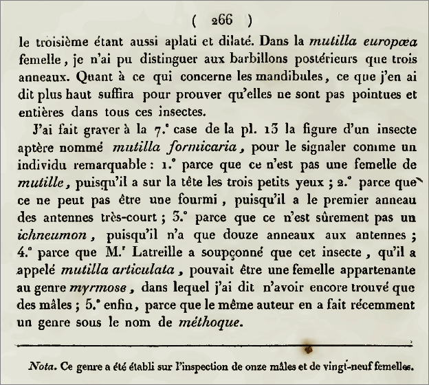 “Mutilla formicaria” by Jurine L., 1807 – Nouvelle méthode de classer les hyménoptères et les diptères. Avec figures. J.J. Paschoud, Genève.