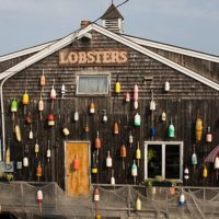 Bar Harbor: lobster buoys, Bar Harbor, ME