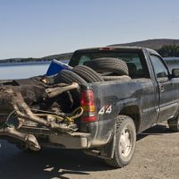 A fallen moose (1), Moosehead Lake, ME