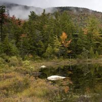 Franconia Notch State Park, Franconia & Sugar Hill, NH