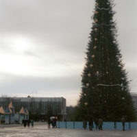 Xmas tree