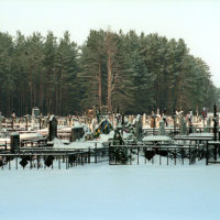 Cemetery in the forest