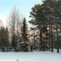 Cemetery in the forest