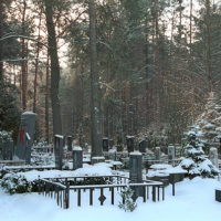 Cemetery in the forest