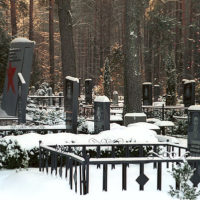 Cemetery in the forest