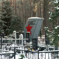 Cemetery in the forest