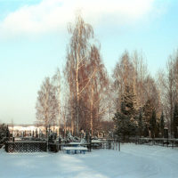Cemetery in the forest