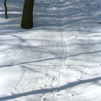Small avalanches