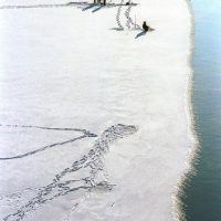 Dangerous fishing