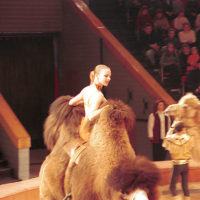 At the Circus